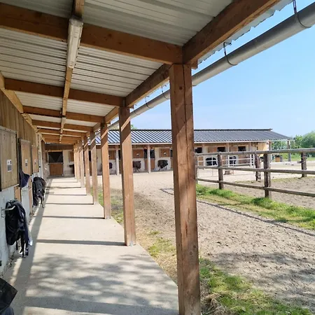 Ecurie Senator Tatil Evi